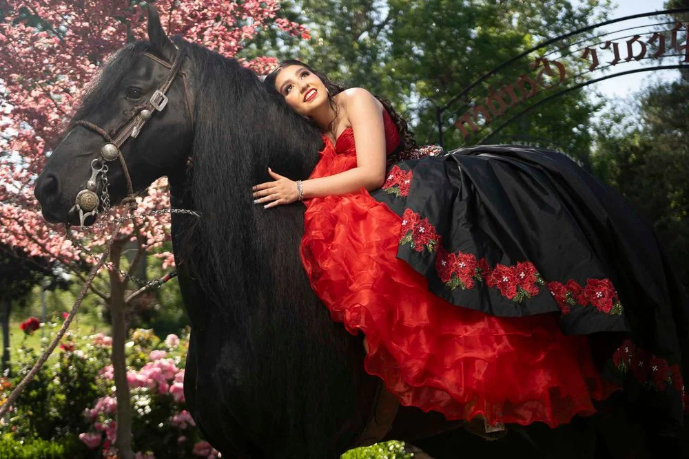 A quinceañera in a red and black floral gown resting on a black horse among pink blossoms